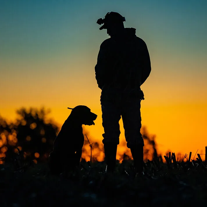 Dog and Man Silhouette at Dusk
