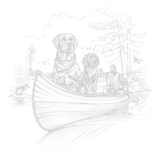 Dogs In Canoe