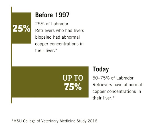 Copper Info Graphic