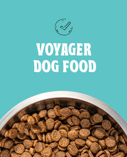 Voyager Food