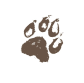 Paw Print