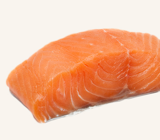 Hydrolyzed Salmon