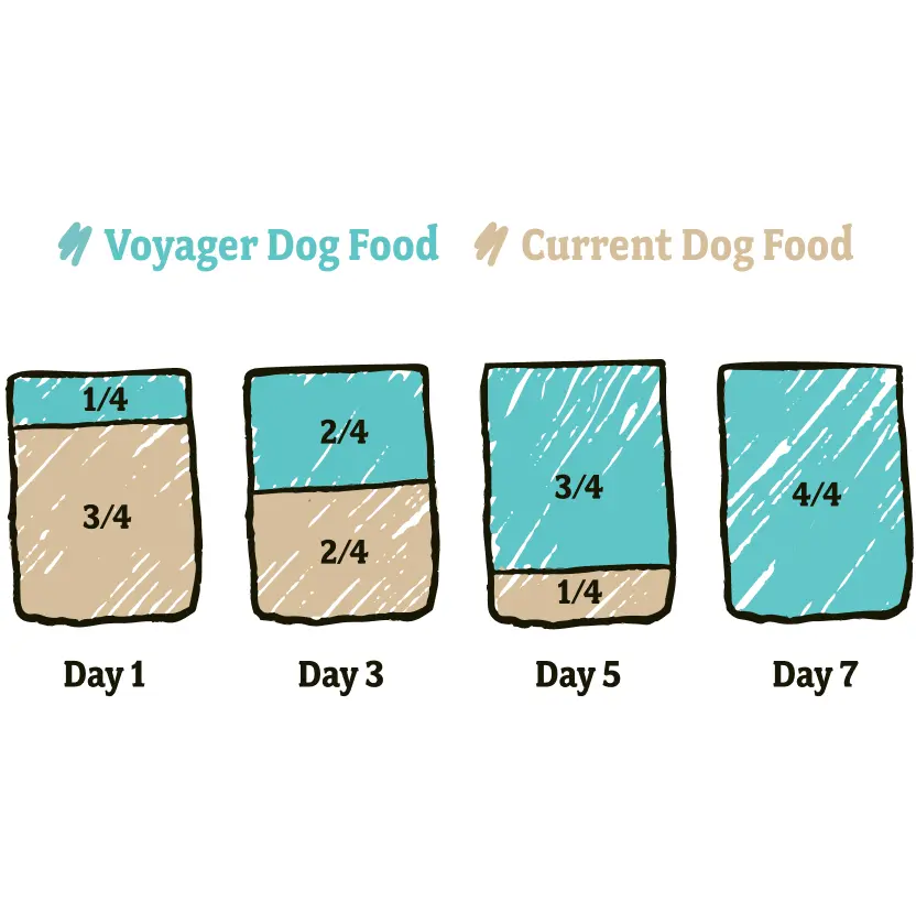 Transition Diagram