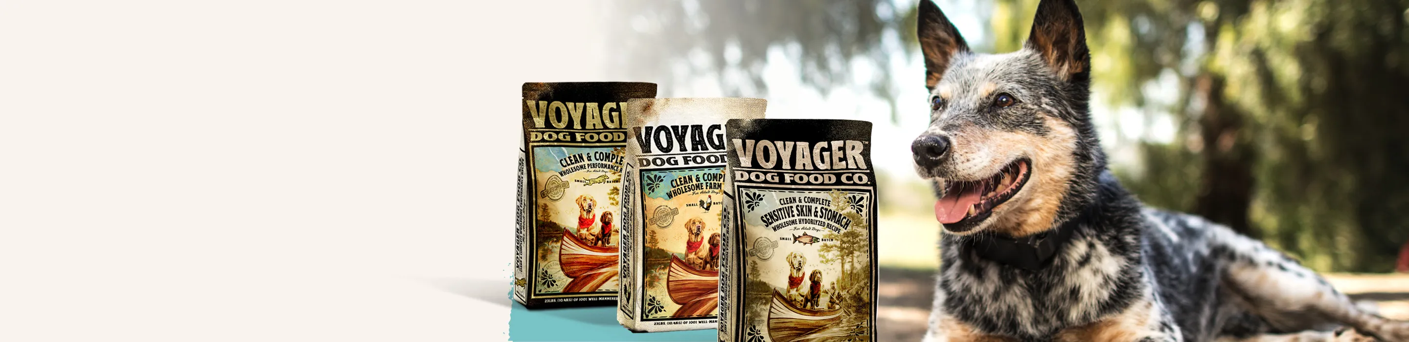 Trader joe's wholesome deals and natural dog food