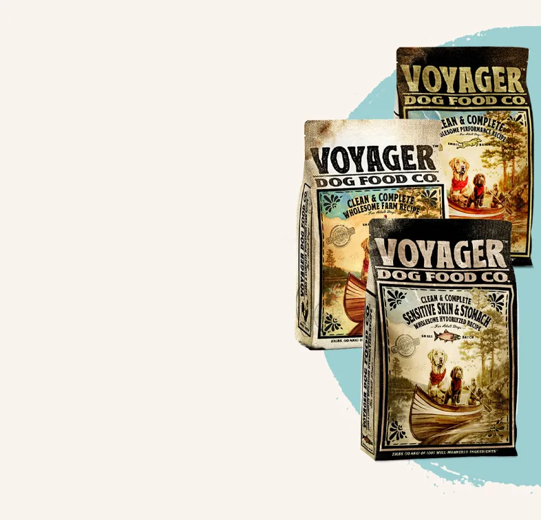 Subscribe to Voyager